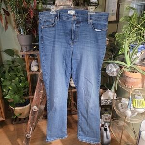 Maurices Blue Women Jeans